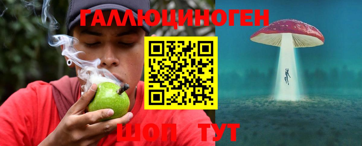 Псилоцибиновые грибы ЛСД Майкоп